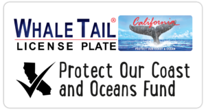 Whale Tail_license plate logo