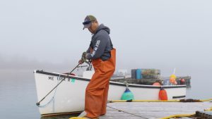 Seaweed_Moment_Still_5